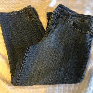 BandolinoBlu Capri Jeans Size 14 - Arianna Style